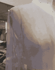 Toile on the mannequin